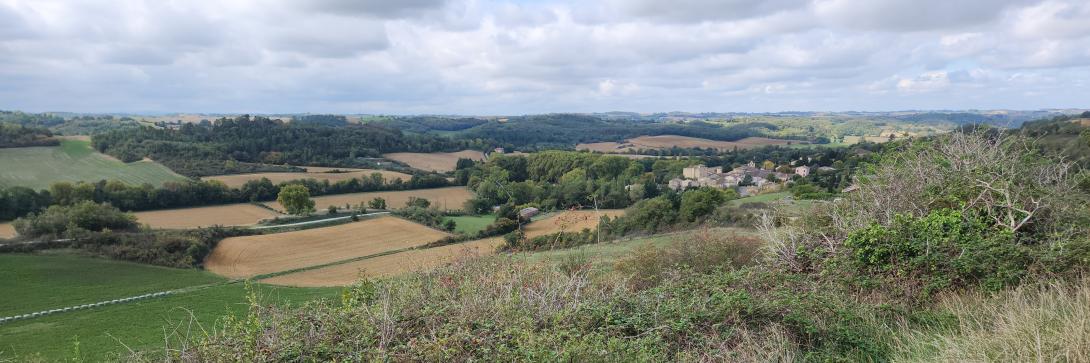 Décoration de fond pour  La faune et la flore