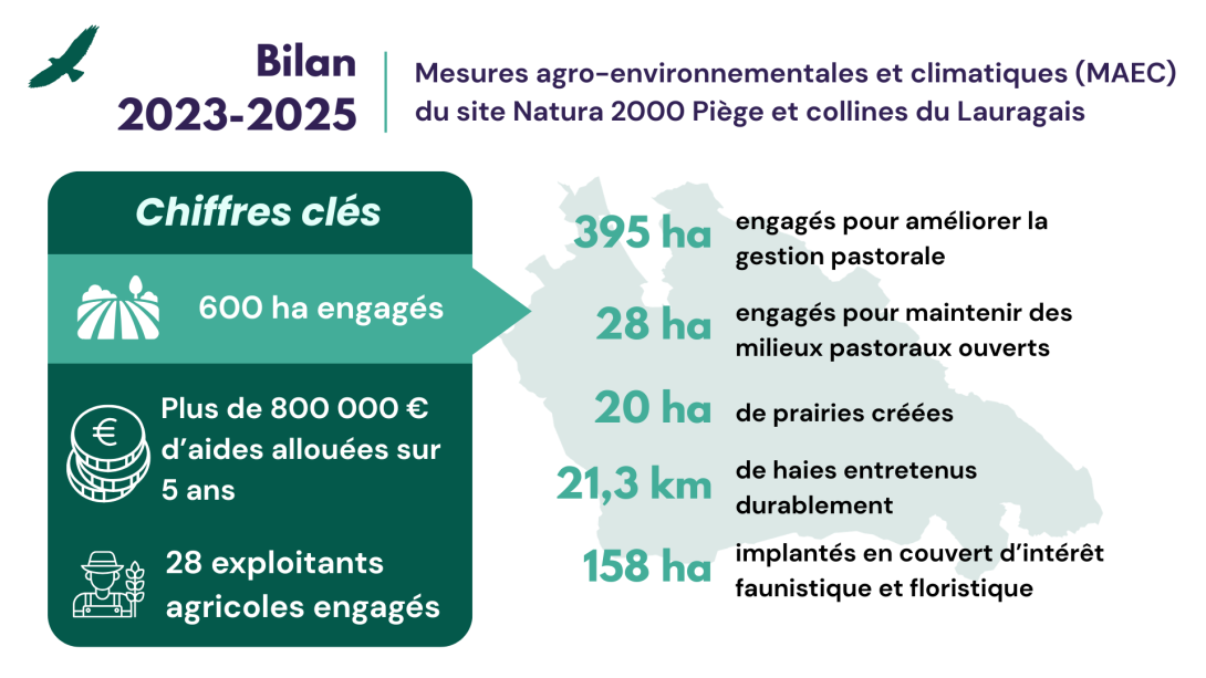 Bilan MAEC Piège 2023-2025